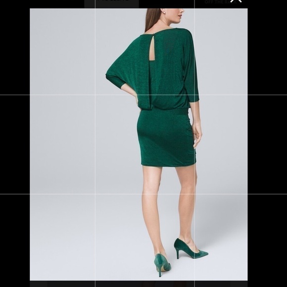 WHBM Space  Blouson Dress Size XXSP - Picture 10 of 16